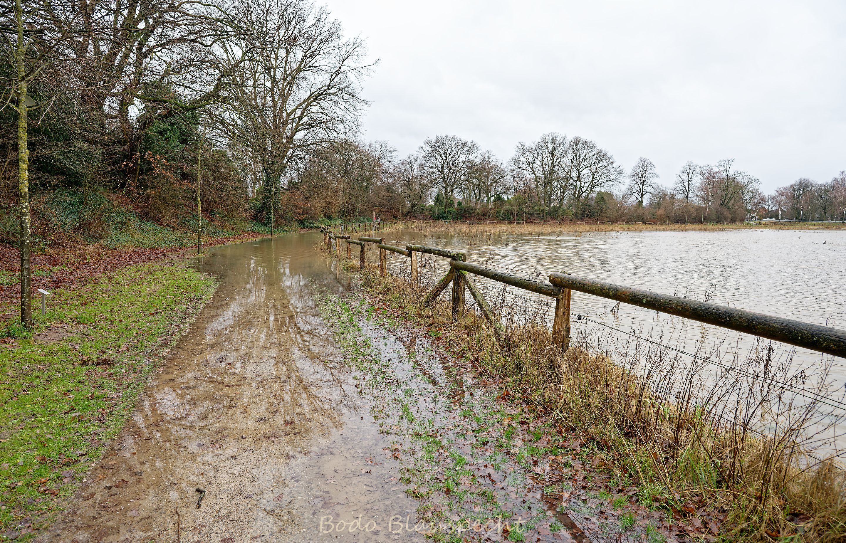 Hochwasser   Steveraue   2023.12.23 16.20 135 WEB